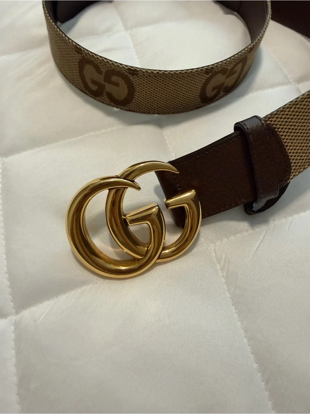 Gucci Brown GG Logo Canvas Belt with Gold Double G Buckle